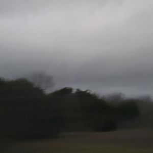 Meet your Posher, Emmalie